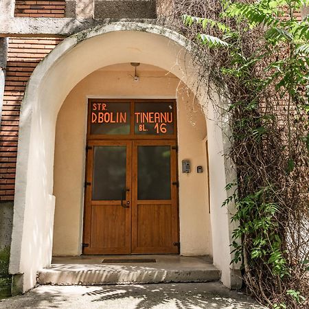 Arad Central Joy - Mihaela Apartment Bagian luar foto