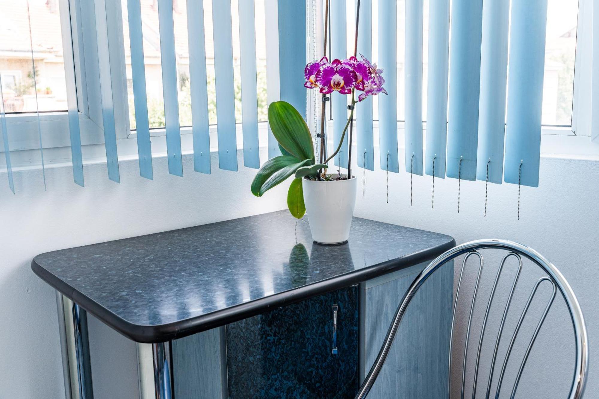 Arad Central Joy - Mihaela Apartment Bagian luar foto
